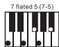 NOVISTAR PACK CLAVIER ST54 - Einfinger-Akkordmodus - 14
