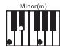 NOVISTAR PACK CLAVIER ST54 - Einfinger-Akkordmodus - 2