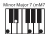 NOVISTAR PACK CLAVIER ST54 - Einfinger-Akkordmodus - 13
