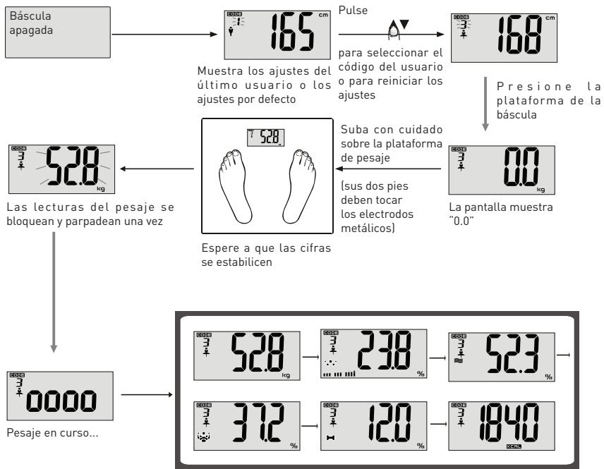 BE YOU EI2 - OBSERVACIONES - 1