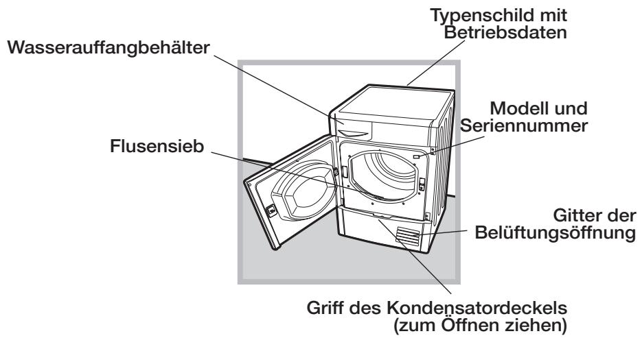 INDESIT EDPA 745 A1 ECO (EU) - Beschreibung des Wäschetrockners - 2