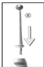 SPORT ELEC HC5 - EL JET DENTAL - 1