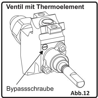 VALBERG CG 60 4CC S VET - Einstellen der Flammhöhe am Ventil auf minimal - 1