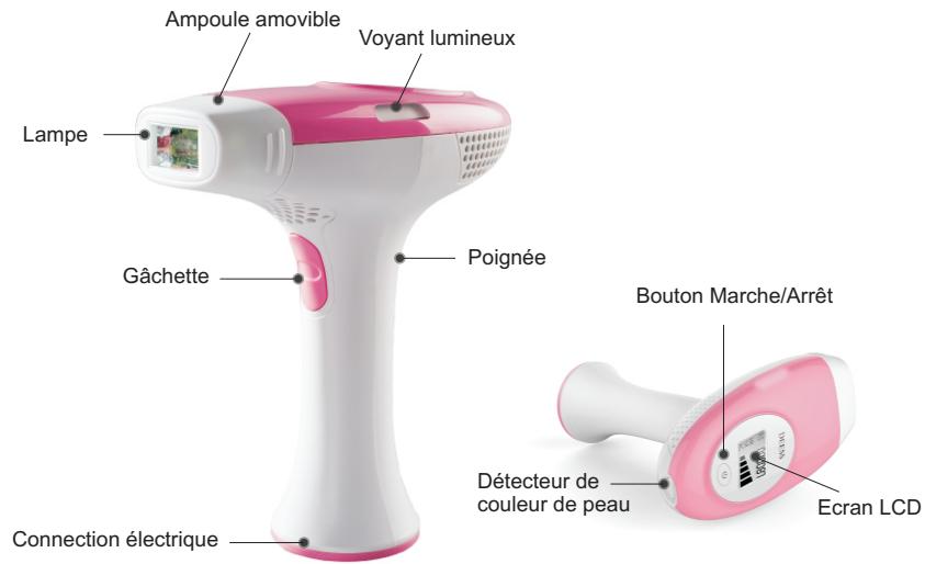 DEESS DS1 - Description produit - 1