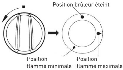 VALBERG GGH 4 IC SIC BE - Remarque importante : ne laissez jamais des alimentés cuire sans surveillance. - 1