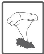 BELLAVITA WMF 1207 A++ BVET - Tipps - 15