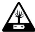 EDENWOOD RR B10 PROJECTION - Gebrauchshinweise - 2