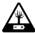 EDENWOOD RR B10 PROJECTION - Consignes d'utilisation - 2