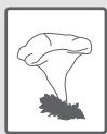 BELLAVITA WMF 1006 A++ WVET - Astuces pour enlever les taches - 15