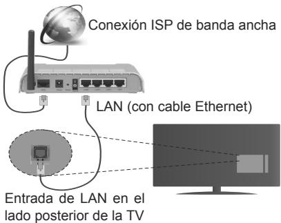EDENWOOD ED3204HD - Conexión a Redes Alámbricas - 1