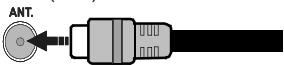EDENWOOD ED3204HD - Branchement de l'antenne - 1