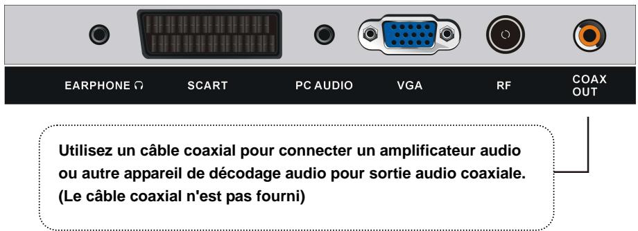 LINSAR 32LED900F - Connexion coaxiale - 1