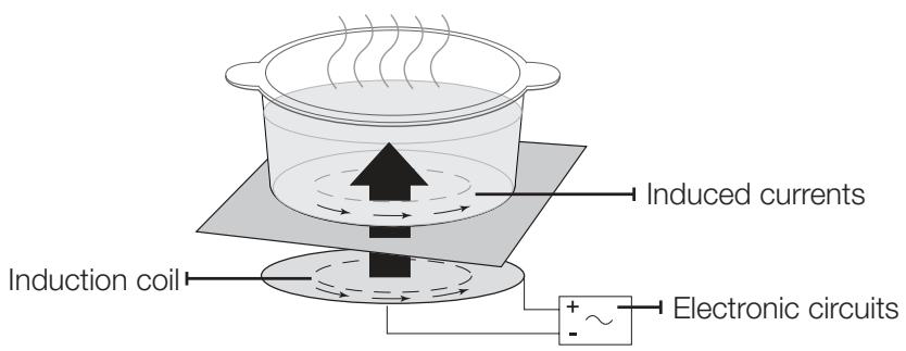 SAMSUNG NZ64M3NM1BB/UR - INDUCTION HEATING - 1