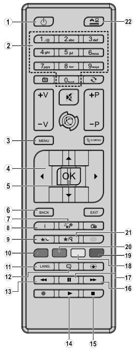 EDENWOOD ED2299 12-220V - Overzicht van de afstandsbediening - 1