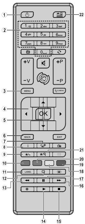 EDENWOOD ED2299 12-220V - Vue d'ensemble de la télécommande - 1