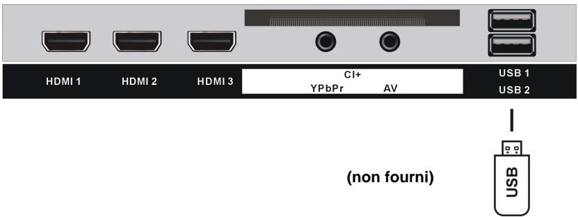 LINSAR P-32LED900F - Connexion coaxiale - 2