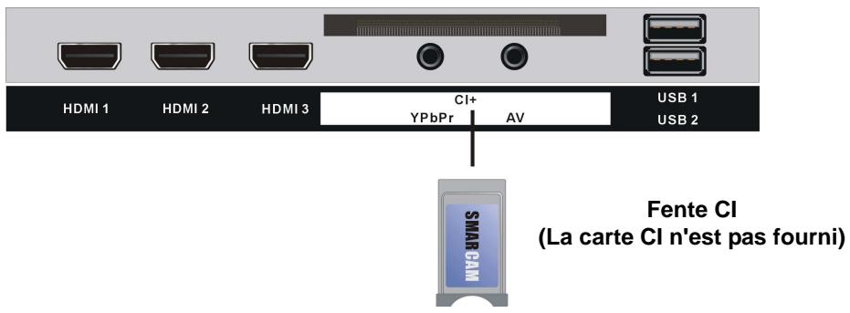 LINSAR P-32LED900F - Connexion coaxiale - 3
