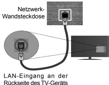 EDENWOOD ED5503 - Verbindung mit einem drahtgebundenen Netzwerk herstellen - 2