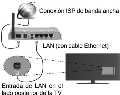 EDENWOOD ED4903 - Conexión a Redes Alámbricas - 1