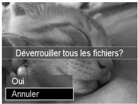 COLXPERT ACCUPIC 2000 - Protégger - 5