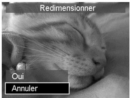 COLXPERT ACCUPIC 2000 - Redimensionner - 3