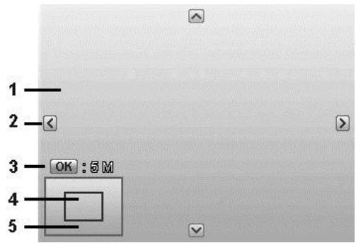 COLXPERT ACCUPIC 2000 - Rogner - 3