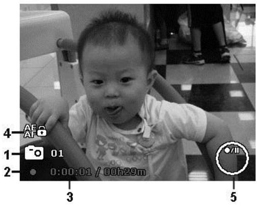 COLXPERT ACCUPIC 2000 - Disposition de l'écran en mode Video - 1