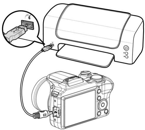 COLXPERT ACCUPIC 2000 - Connector l'appareil photo à une imprimante - 1