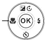 COLXPERT ACCUPIC 2000 - Bouton Mise au point/Gauche - 1