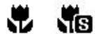 COLXPERT ACCUPIC 2000 - Bouton Mise au point/Gauche - 2