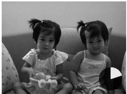 COLXPERT ACCUPIC 2000 - Utiliser Capture GIF - 2