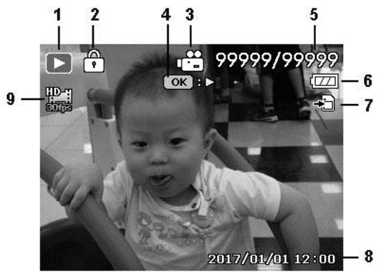 COLXPERT ACCUPIC 2000 - Disposition de l'écran en mode Lecture - 2