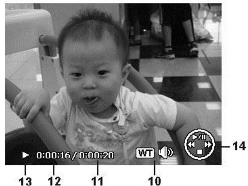 COLXPERT ACCUPIC 2000 - Disposition de l'écran en mode Lecture - 3