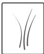 BELLAVITA WF 712 A+++ W701T2 - Conseils - 10