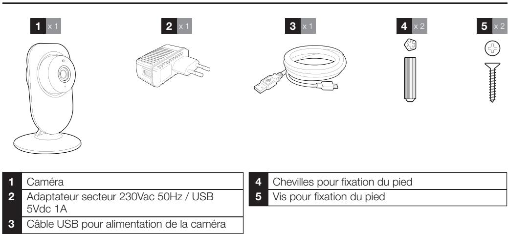 AVIDSEN Caméra Sécurité IP Intérieur - 1- CONTENU DU KIT - 1