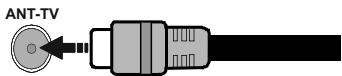 EDENWOOD ED4305WH - Parte trasera inferior del televator - 1