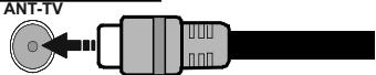 EDENWOOD ED4905WH - Branchement de l'antenne - 1