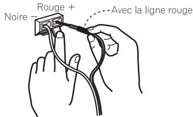 PIONEER DJ DM 40 - Introduisez les fils centraux dans les prises tout en appuyant sur la griffe de la prise de haut-parleur. - 1