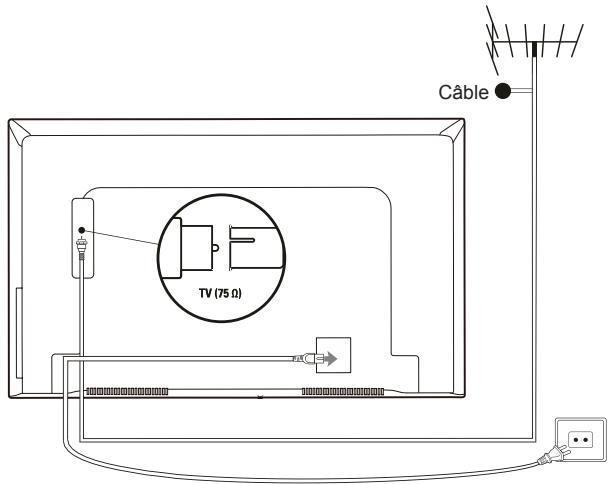 TCL 43DP600 - Branchez l'alimentation et l'antenne - 1