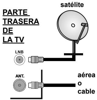 EDENWOOD ED2200FHD-VE - Conexión de la Antena - 1