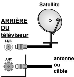 EDENWOOD ED2200FHD-VE - Branchement de l'antenne - 1