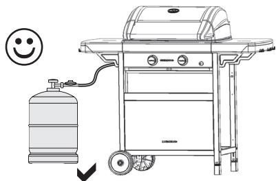 CAMPINGAZ 2 SERIES Classic LX Plus Vario - g) INNAN APPARATEN SÄTTS IGÄNG - 2