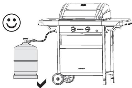 CAMPINGAZ 2 SERIES Classic LX Plus Vario - g) Prior to use - 2