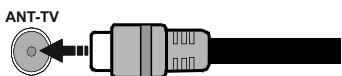 EDENWOOD ED43A00UHD-VE - Parte trasera inferior del televator - 1