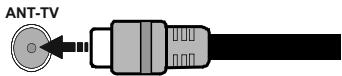 EDENWOOD ED49A00UHD-VE - Parte trasera inferior del televator - 1