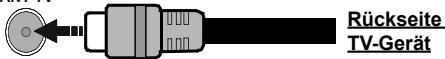 EDENWOOD ED49A00UHD-VE - Anschluss der Antenne - 1