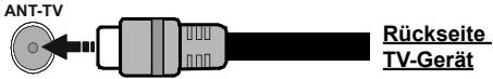EDENWOOD ED55A00UHD-VE - Anschluss der Antenne - 1