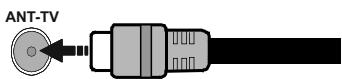 EDENWOOD ED55A00UHD-VE - Parte trasera inferior del televator - 1