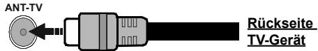 EDENWOOD ED55B00UHD-VE - Anschluss der Antenne - 1
