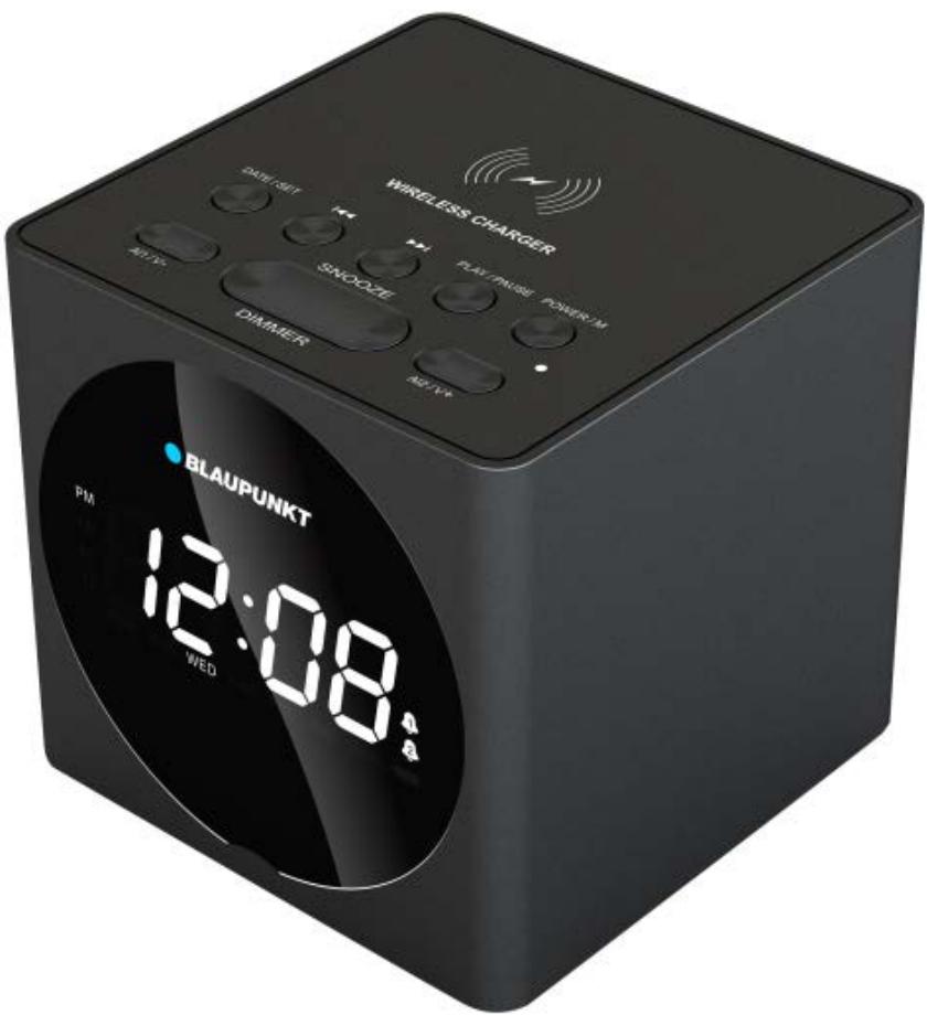 BLAUPUNKT BLP2612 - User manual - 1